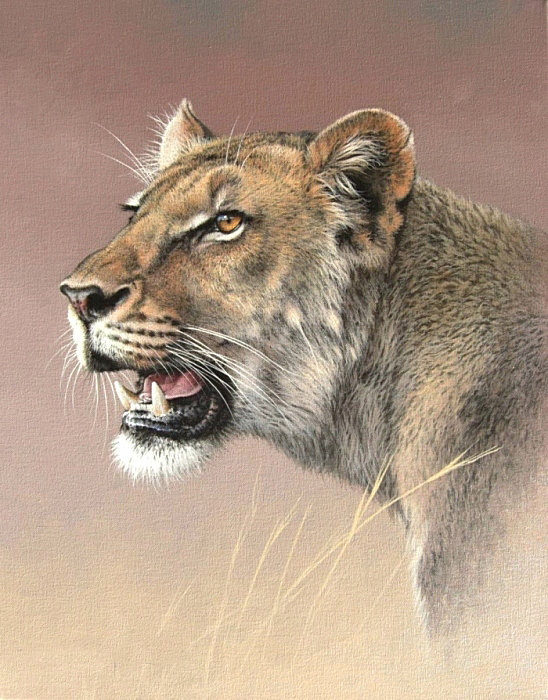 207 - оригинал