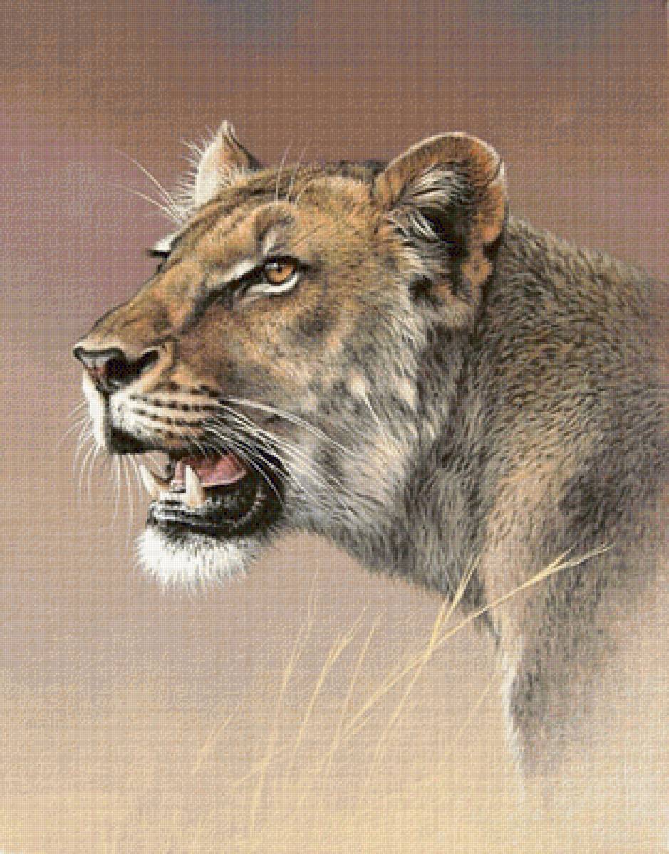 207 - предпросмотр