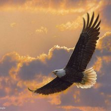 Схема вышивки «Полёт»