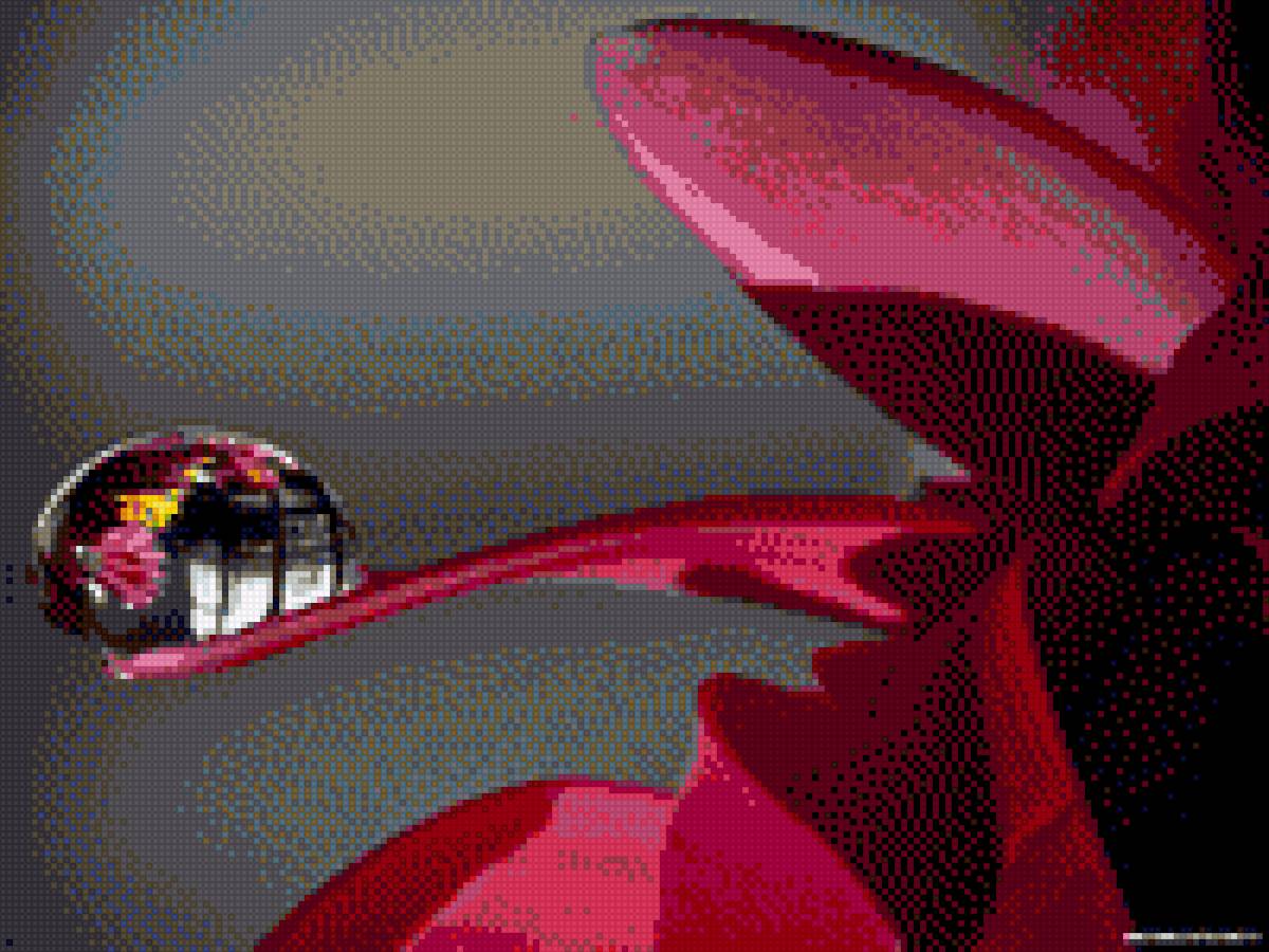 Отражение - роса, капля, отражение - предпросмотр