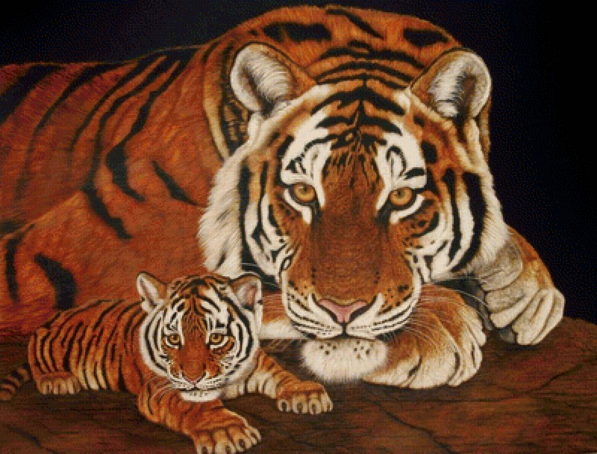 животные - тигры, тигр, хищники, животные - предпросмотр