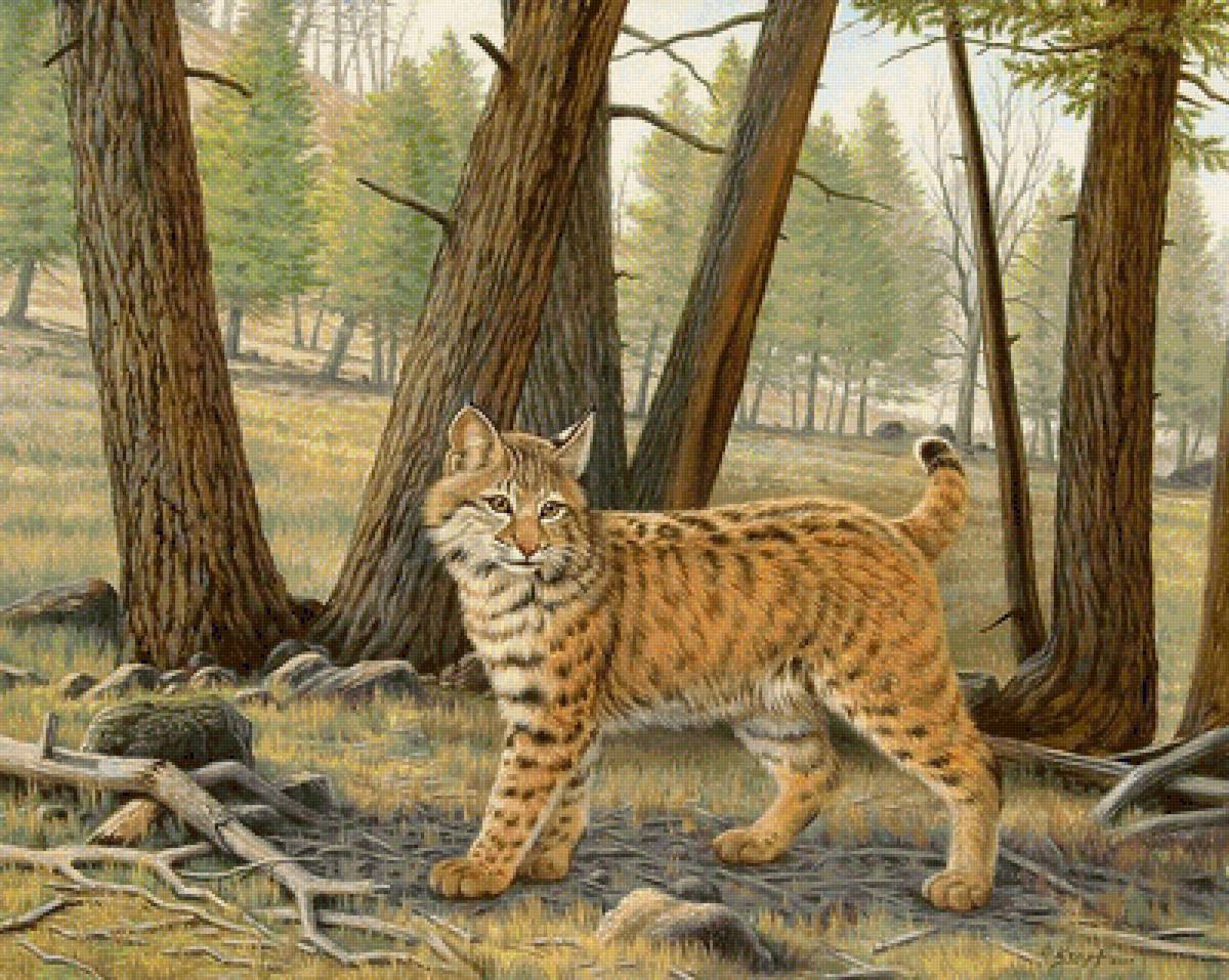 №1349437 - предпросмотр