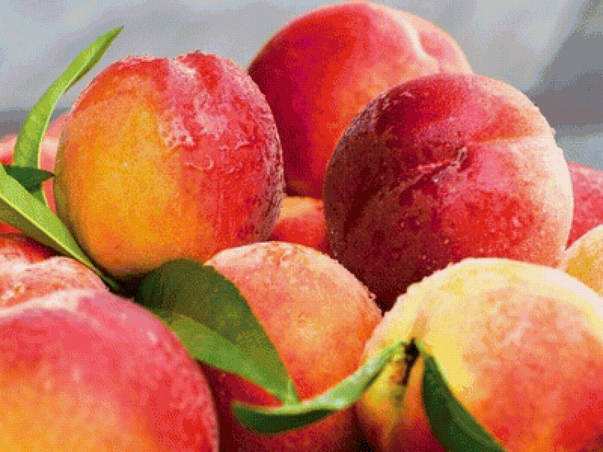 персики - предпросмотр