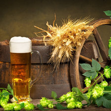 Схема вышивки «пивко»