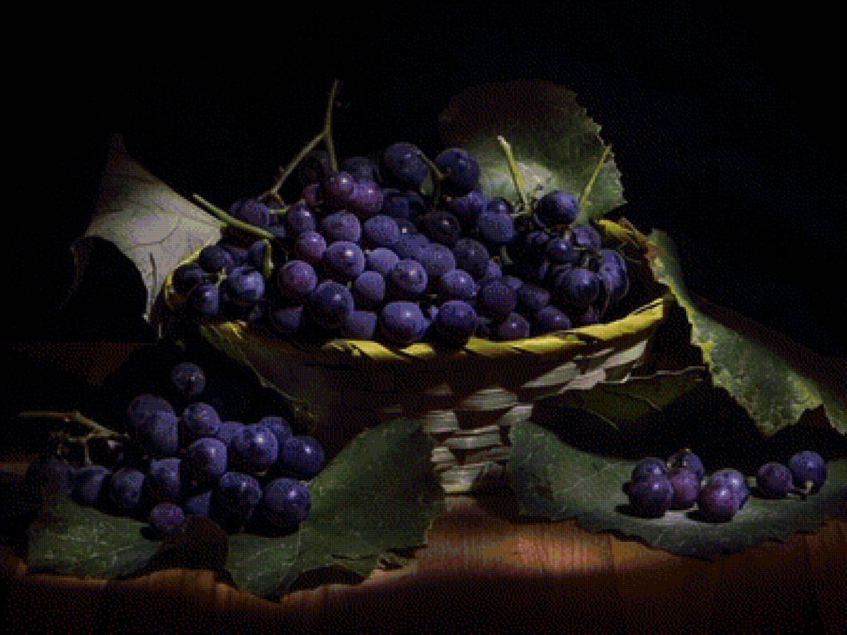 виноград - предпросмотр