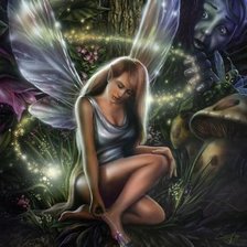 Схема вышивки «hada sorprendida»