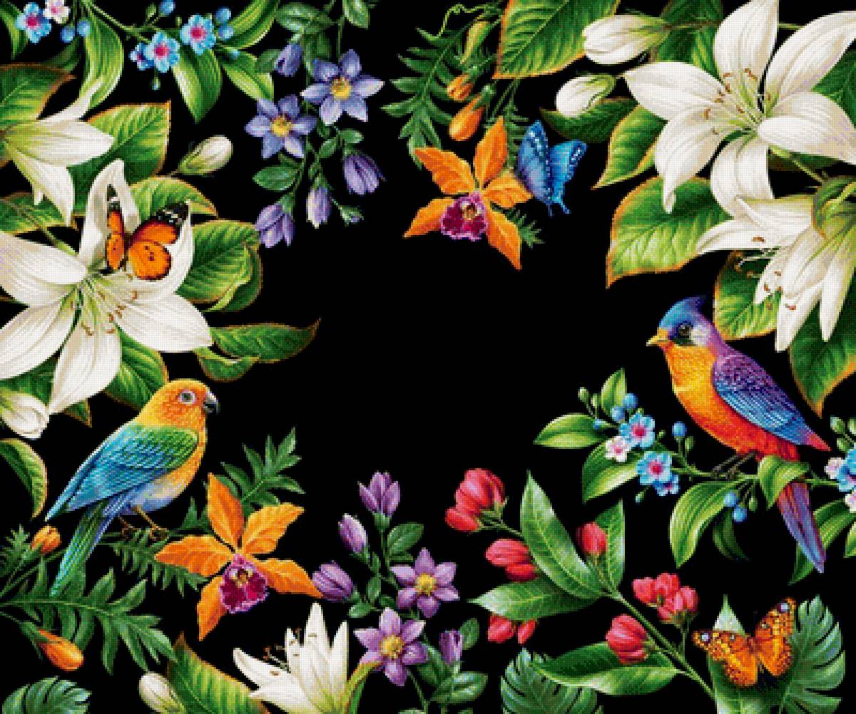 Тропические птицы - птицы, цветы - предпросмотр