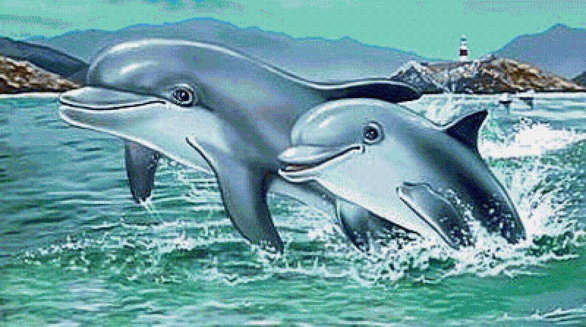 Дельфины - море, дельфины - предпросмотр