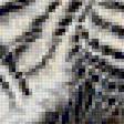 Предпросмотр схемы вышивки «опасное трио» (№1351890)