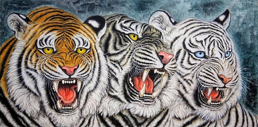 опасное трио - тигры, хищники, тигр, белый тигр - оригинал