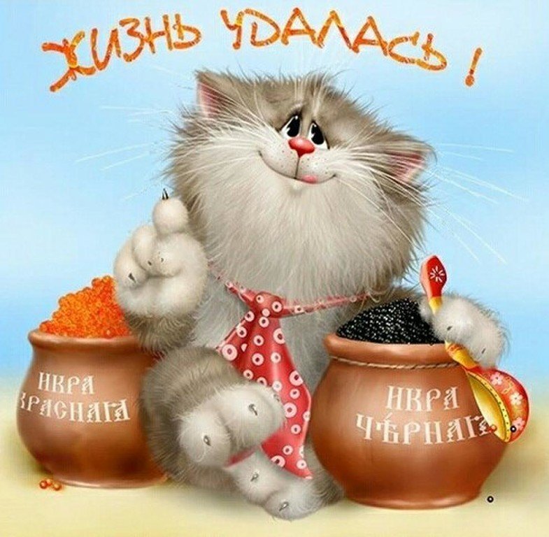 кот - оригинал