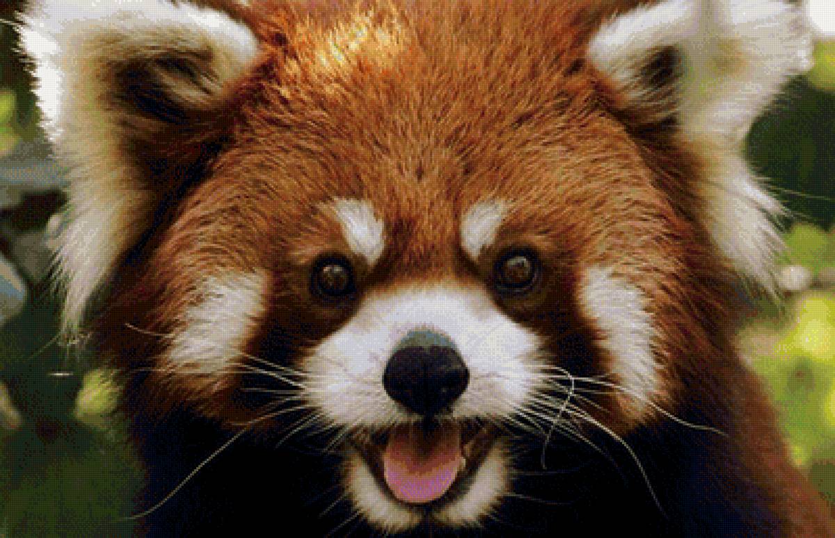 №1352191 - предпросмотр