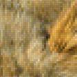 Предпросмотр схемы вышивки «львиная пара» (№1352221)