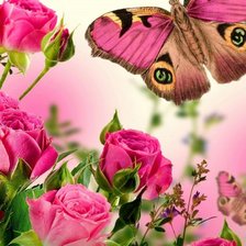 Схема вышивки «№1352631»