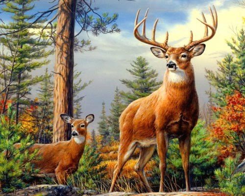 lОлени - пейзаж, олени - оригинал