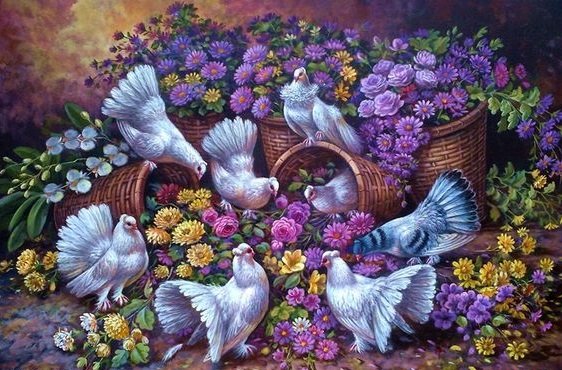 голуби - оригинал