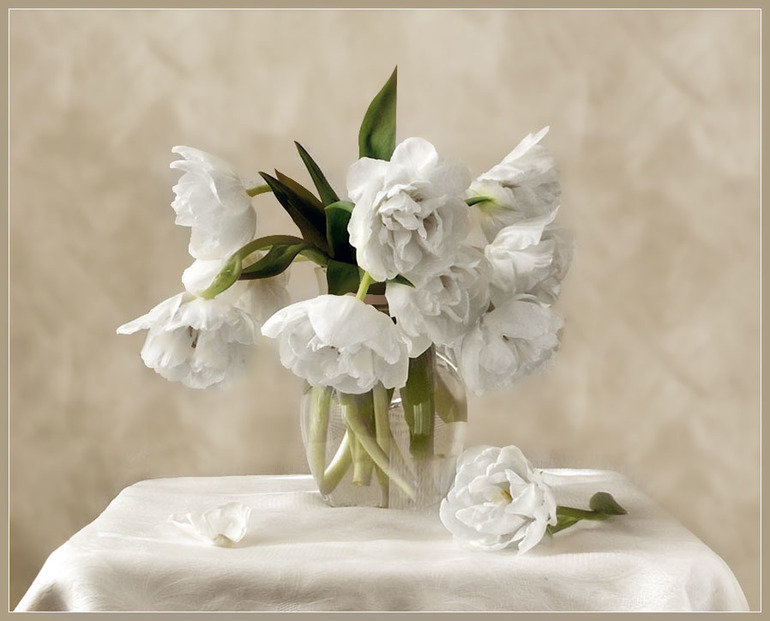 Свежесть - свежесть, утро. белое, цветы в вазе, белые цветы - оригинал