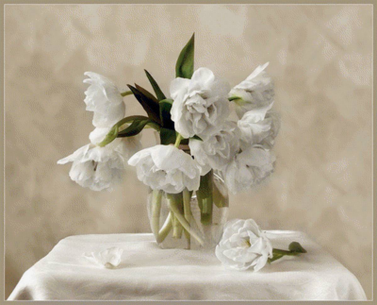 Свежесть - утро. белое, белые цветы, свежесть, цветы в вазе - предпросмотр