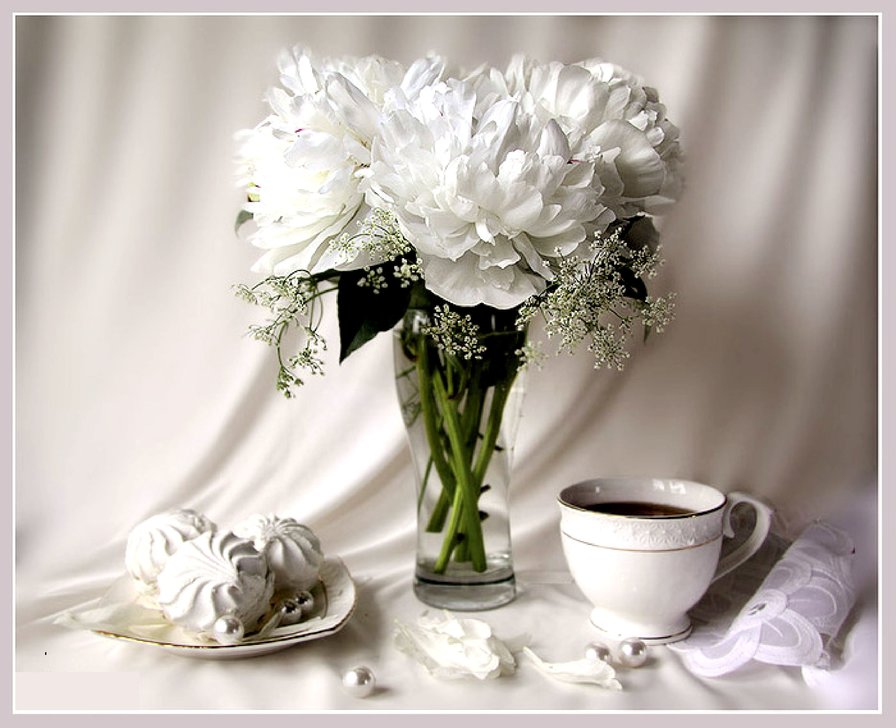 Белый зефир - белые цветы, натюрморт, пионы, зефир, букет - оригинал