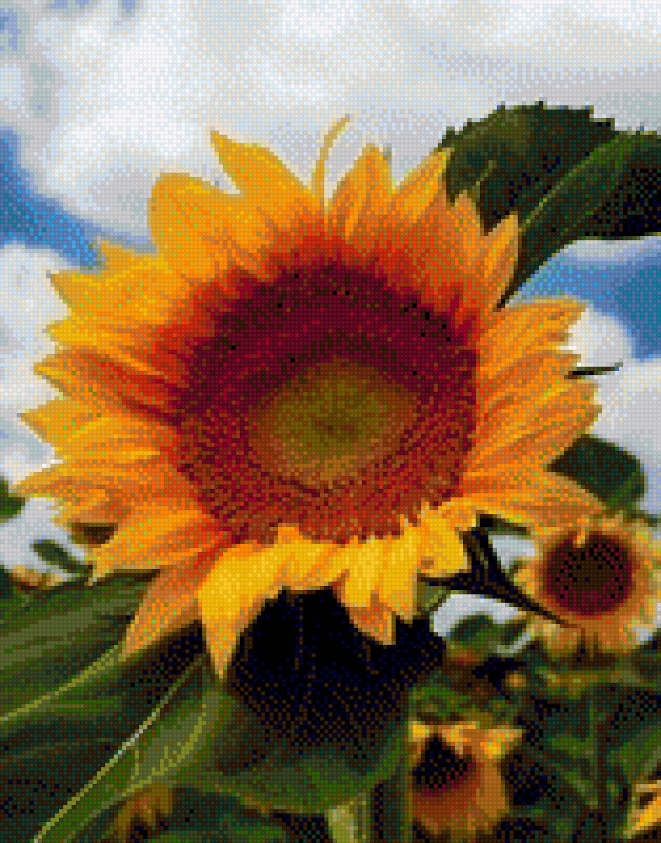 Кусочек солнца - кусочек солнца - предпросмотр