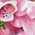 Предпросмотр схемы вышивки «цветы» (№1353610)