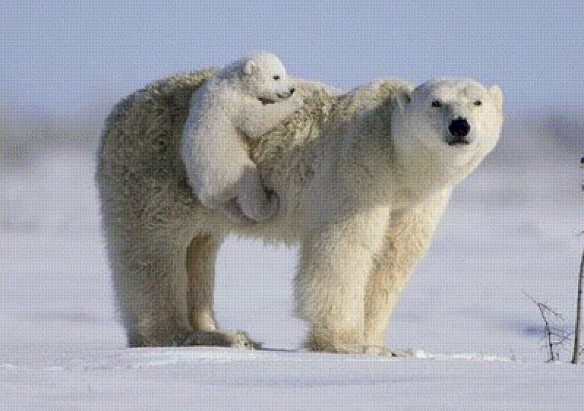 MAMA I DETENYS - дикие животные, природа - предпросмотр