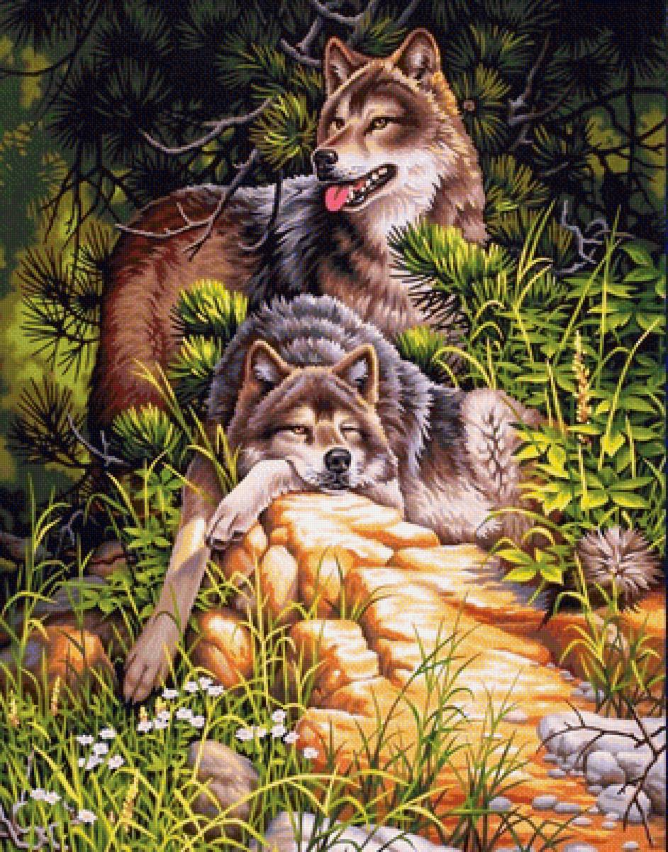 отдыхающие волки - природа, пейзаж, животные, лето, картина - предпросмотр