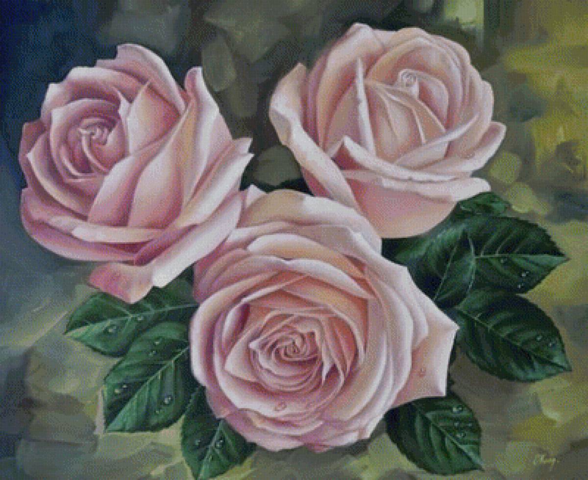 розы - предпросмотр