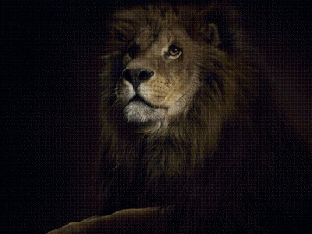 лев - предпросмотр