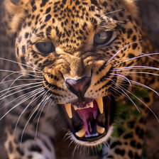 Схема вышивки «76»