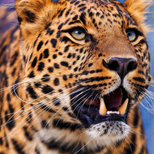 Схема вышивки «45»