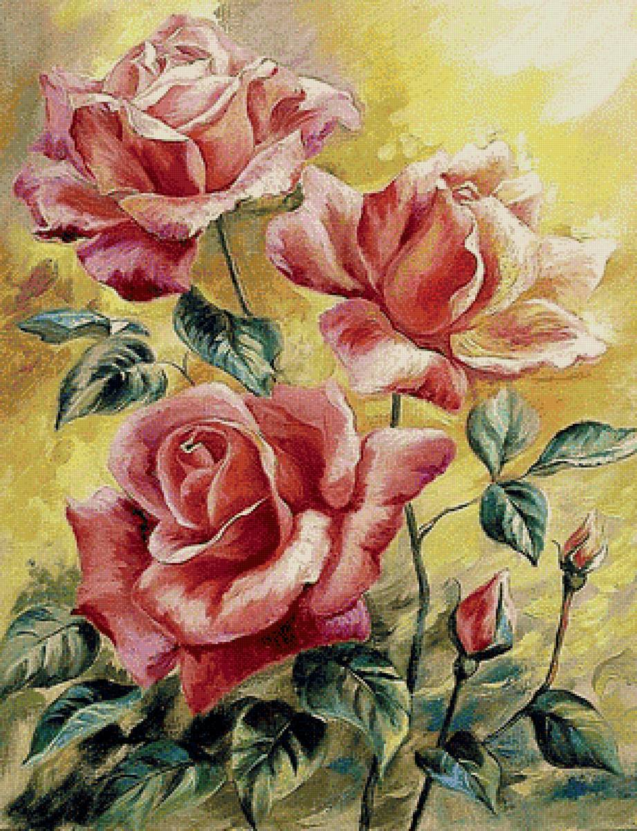 розы - предпросмотр