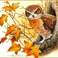 Схема вышивки «сова»