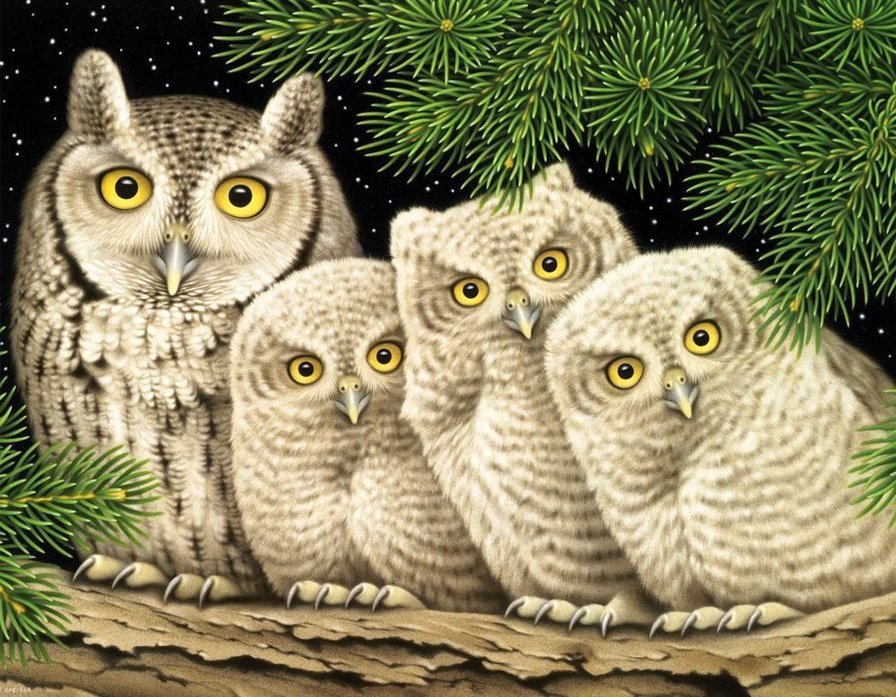 белые совы - природа, картина, птицы - оригинал