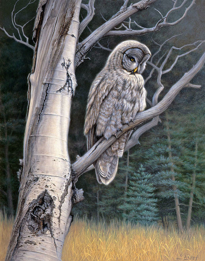 №1355407 - птицы - оригинал