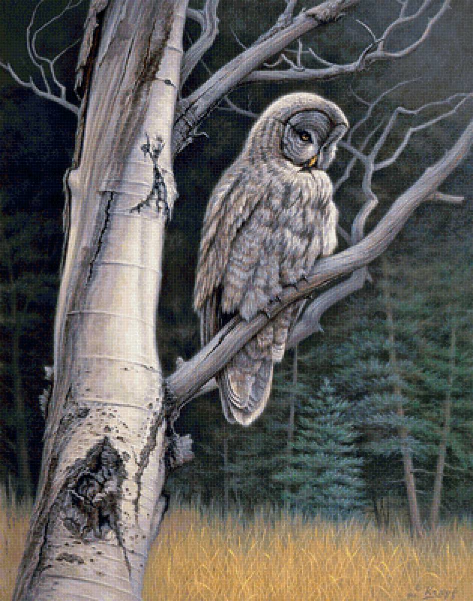 №1355407 - птицы - предпросмотр