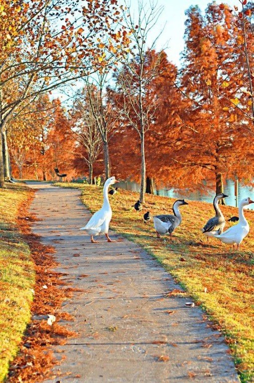 №1356109 - оригинал