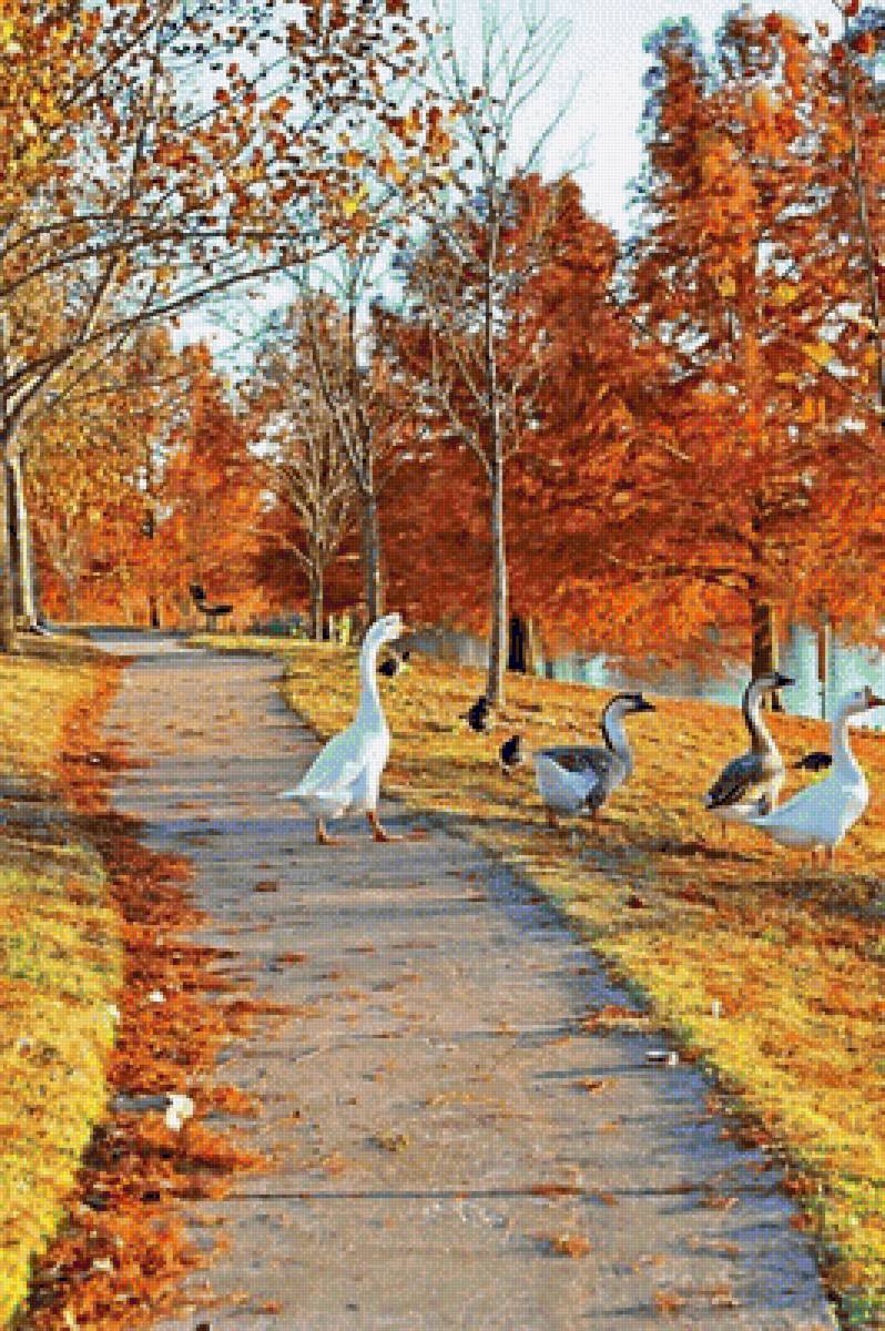 №1356109 - предпросмотр