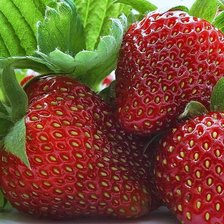 Схема вышивки «Клубничка»