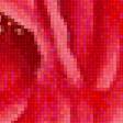 Предпросмотр схемы вышивки «červené ruže» (№1356670)