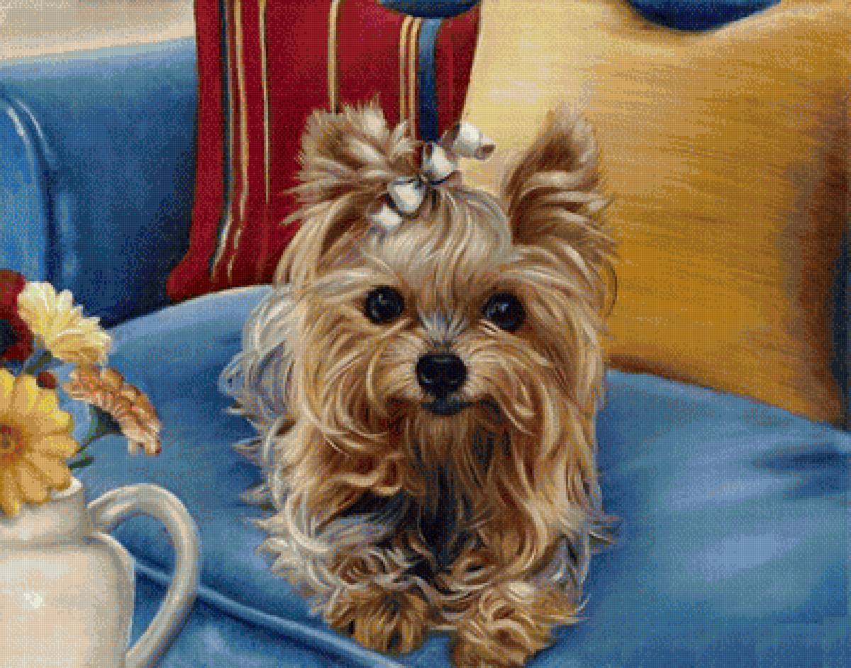 красотка - предпросмотр