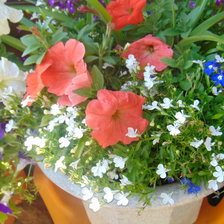 Схема вышивки «дача»