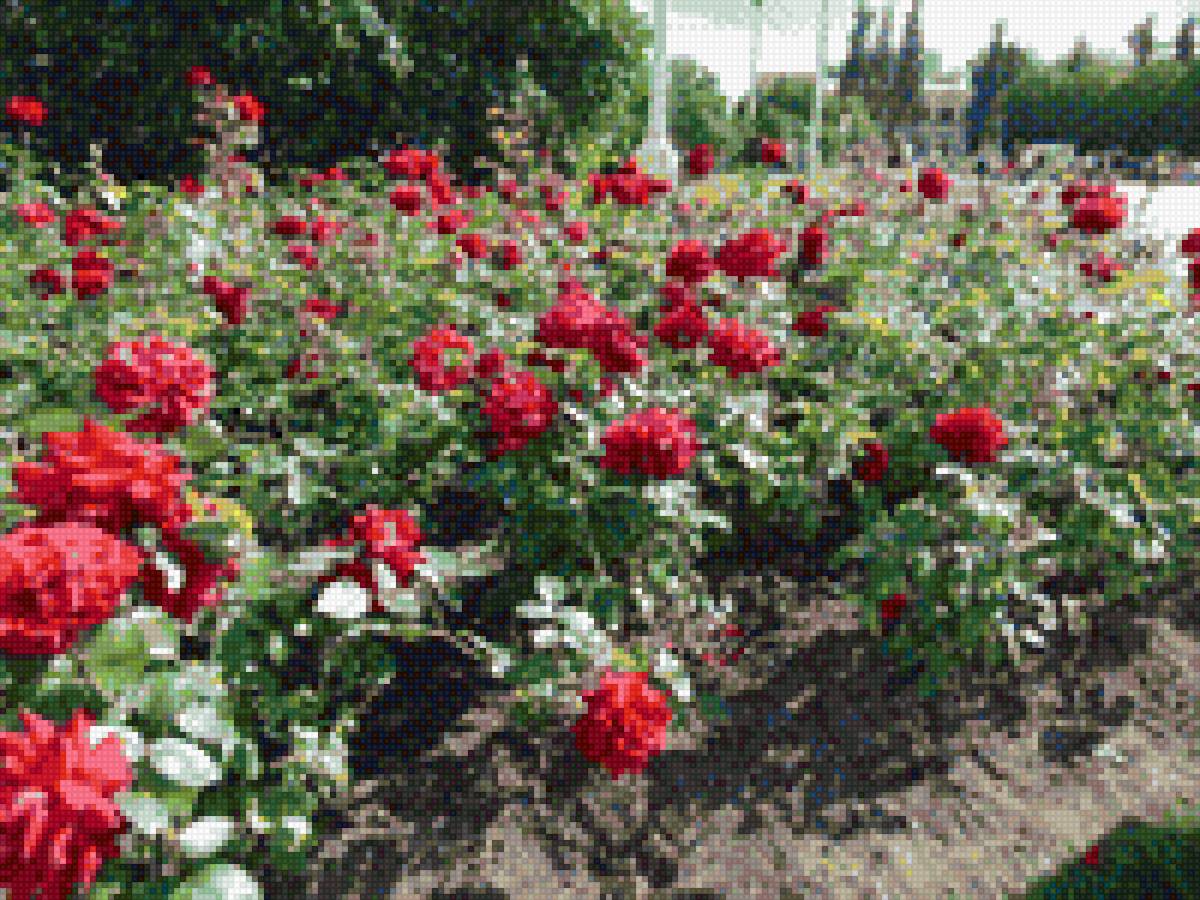 дача - предпросмотр