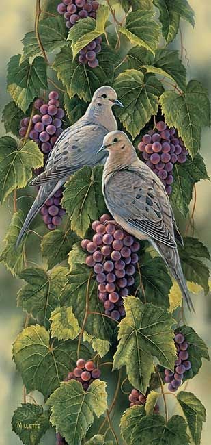 №1357932 - птицы - оригинал