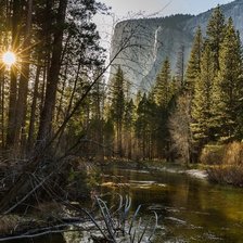 Схема вышивки «лес»