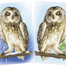 Схема вышивки «птички»