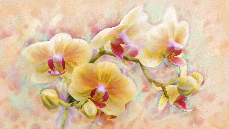 Орхидеи - цветы, орхидеи - оригинал