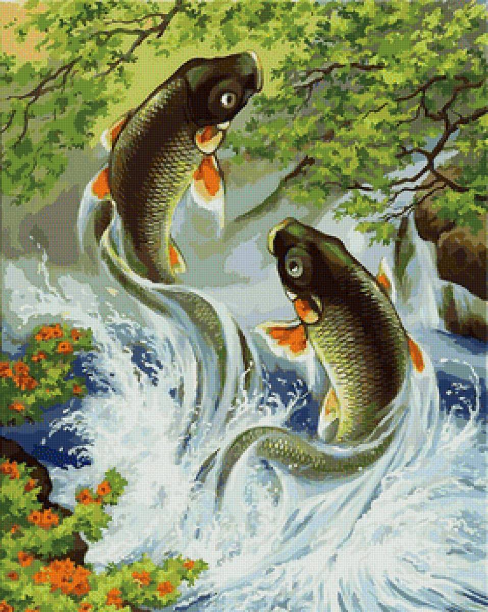 Танцующие рыбки - рыбы - предпросмотр