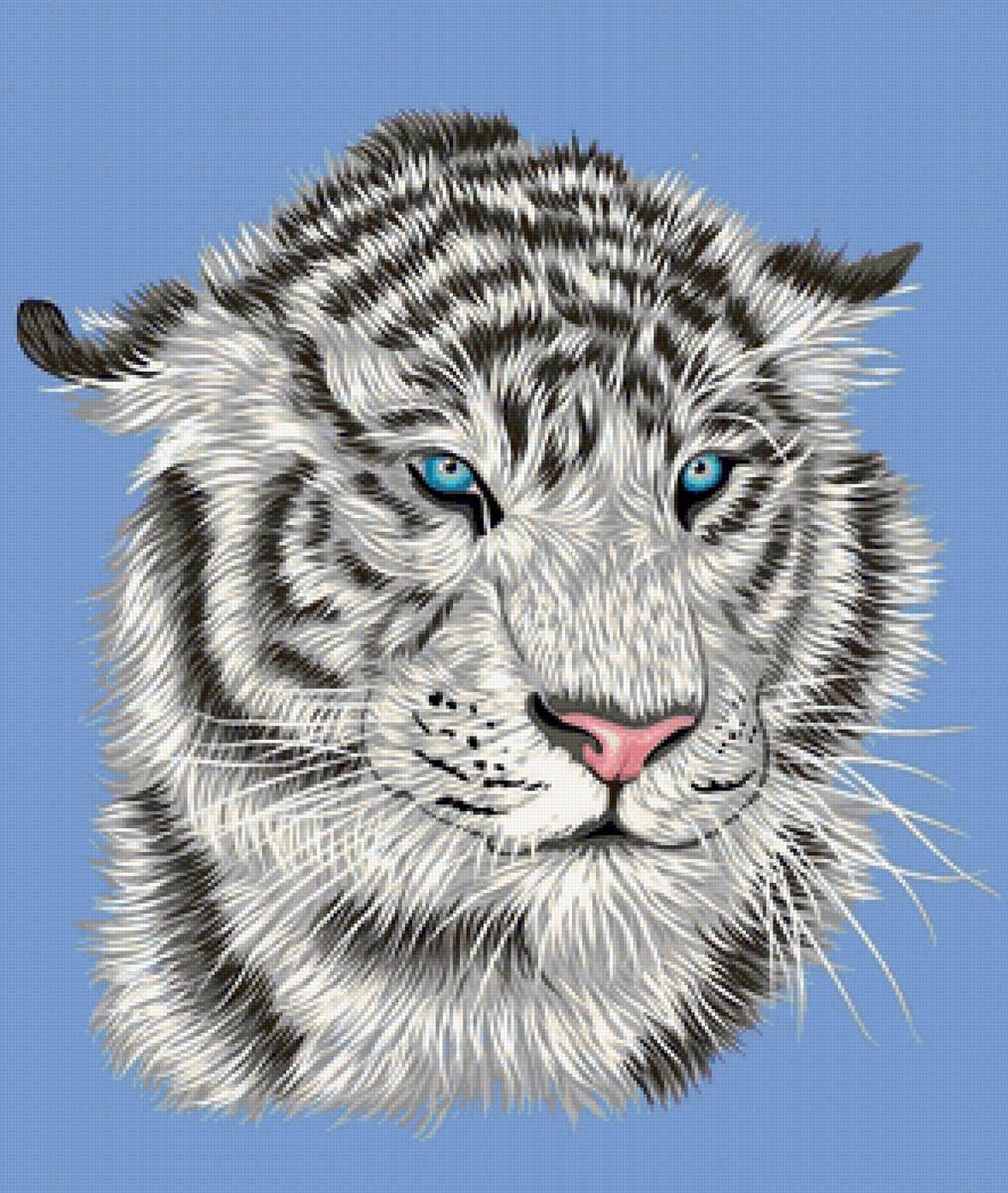 Тигр - животные - предпросмотр