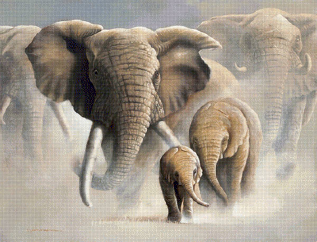 Семья слонов 3 - слоны, семья - предпросмотр